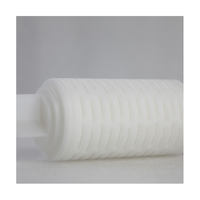Cartucho de filtro plegado plisado PVDF de 10 pulgadas, Grado Alimenticio hidrofílico, soluciones Wuhu Anhui, 0,01 micras, oftálmica estéril