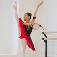 Costume de compétition professionnel en spandex rouge pour la danse classique pour adultes, jupe de lapin, Don Quichotte espagnol