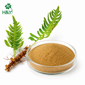 Estratto di Polypodium Leucotomos Naturale di Alta Qualità e Alta Concentrazione in Polvere, Direttamente dalla Fabbrica - Product Image 2