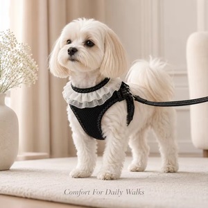 Cute Lace Frill <b>Pet</b> Dog <b>Harness</b> Leash Set Adjustable Reflective Mesh Puppy Vest <b>Harness</b> For Daily Outdoor Walk - Product Image 3