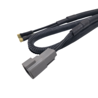 OEM tugas berat Deutsch 2 Pin pria konektor DTP04-2P otomotif kawat Loom 10AWG perakitan kabel listrik