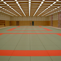 Matras Judo Berkualitas Tinggi Dapat Disesuaikan 4cm PU Sponge Anti-Slip Gulung untuk Latihan Bela Diri Grappling Jiujitsu MMA XPE