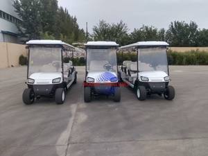 Venta al por Mayor de Vehículos de Lujo Nuevos de 3-4 Plazas, de Baja Velocidad, con Tracción en las 4 Ruedas, Eléctricos, Homologados para Circular por la Calle, Tipo Carrito de Golf - Product Image 6