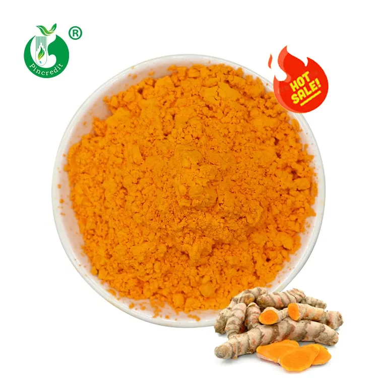 Extrait de curcuma naturel biologique poudre de curcumine en vrac curcumine 95%