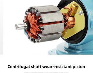 JSD-Bomba de aire de acuario de alta potencia de 12V, aireador de metal para peces y vehículos, AC/DC, fuente de alimentación dual de 1L - Product Image 3