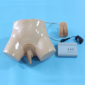 Modelo avanzado de cateterización electrónica; modelo intuitivo de práctica para la anatomía de las partes genitales internas y externas masculinas y femeninas. - Product Image 1