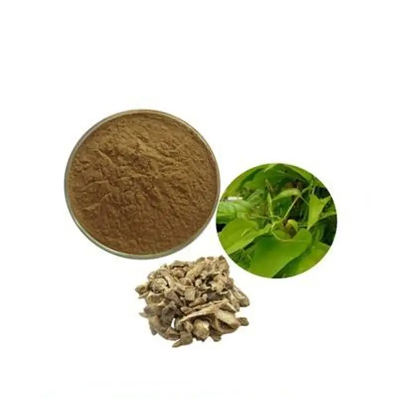 Bai bu polvere di estratto di stemona japonica essiccata a base di erbe cinesi all'ingrosso