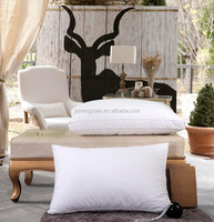 Taie d'oreiller 100% coton biologique de luxe moderne d'hôtel d'enfants d'anti allergie faite sur commande blanche