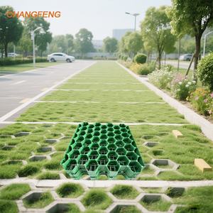 CHANGFENG Grille de pavés en gazon résistant HDPE à bas <span class=keywords><strong>prix</strong></span> pour terrain de sport de parking au Chili - Product Image 2