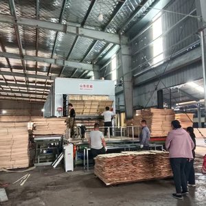 Máy sấy gỗ thiết bị sấy bảng lớn với sản lượng lớn và diện tích sàn nhỏ - Product Image 3