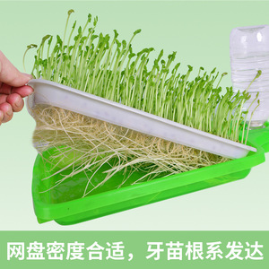 Bandeja de siembra con relleno automático de agua para verduras y brotes de frijol, bandeja de germinación de verduras de doble capa, brotes - Product Image 2