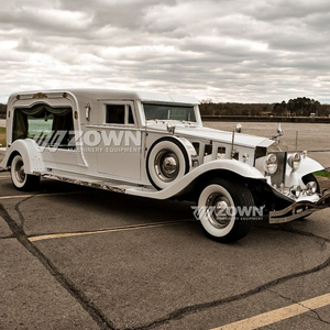 Véhicule funéraire électrique populaire, chariot funéraire classique, voiture-cercueil électrique, véhicules de transport spécial - Product Image 4