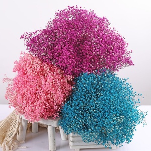 Ramo de Gypsophila Seca Preservada, Ramo de Flores Secas para Decoración del Hogar/Boda - Product Image 3