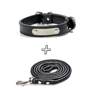 Ensemble de colliers et de laisses pour animaux de compagnie en plastique souple, durable, réglable, avec logo personnalisé OEM, luxe moderne, rechargeable, rubans, quincaillerie dorée, ID - Product Image 1