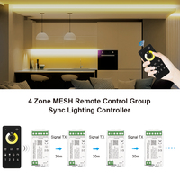C100 4 zones MESH groupe à distance et synchronisation Tuya Smart 2.4G BT WIFI Zigbee CCT Mini 12/24V PWM contrôleur de lumière LED