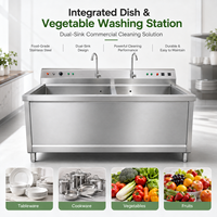 Lave-légumes et équipement de lavage de vaisselle pour restaurant, évier double en acier inoxydable, achat professionnel