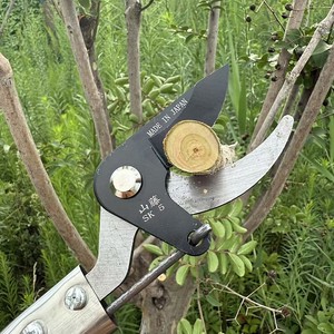 Sécateur à lame croisée en acier inoxydable Mountain Wisteria, design papillon, pour la taille des arbres fruitiers, usage en jardin, manche métallique manuel - Product Image 3