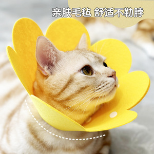 Feline Elizabethan collars, sunflower collars, post-spaying anti-licking <b>head</b> <b>covers</b>, mixed colors, available for wholesale. - Product Image 5