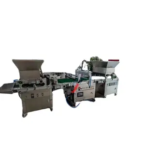 Automatic vegetable seeds sowing machine production line seedling tray paddy seed nursery sowing machine