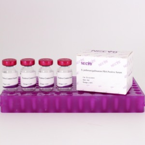 Suero de control de antígeno de aglutinación Salmonella Pullorum/Gallinarum para pruebas avícolas - Product Image 1