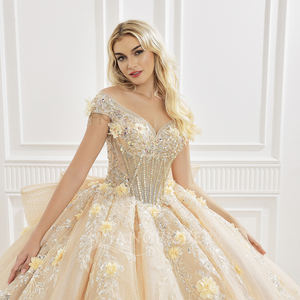 Robe de bal de Quinceañera Princesse Champagne, style princesse, avec décolleté cœur, appliques en dentelle, broderies, sequins, couleur bonbon et traîne chapelle, élégante - Product Image 2