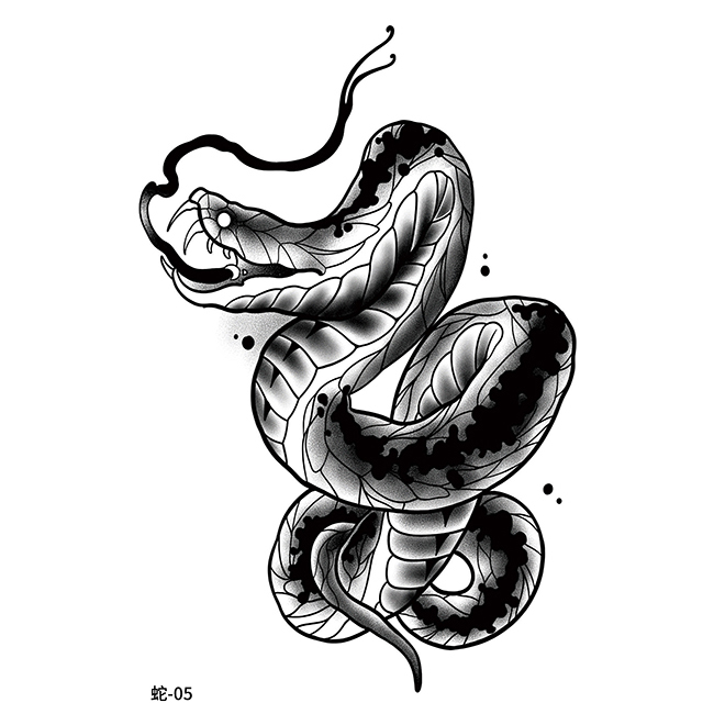 snake05