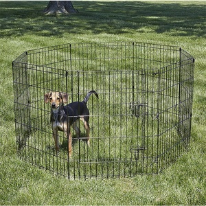 I produttori che vendono pesanti hanno aggiornato i trasportatori professionali su misura dei gatti domestici delle gabbie delle case della cassa - Product Image 6