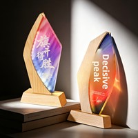 Trophée en cristal lumineux personnalisable avec base en bois de hêtre pour événements de remise de prix, champions, employés exceptionnels, récompenses sportives annuelles