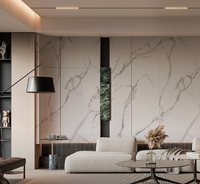Panel Dinding PVC Motif Marmer Tahan Api, Anti UV, Tahan Air, Dekoratif Geometris, Modern untuk Komersial, Kamar Tidur, Kamar Mandi, Ruang Tamu