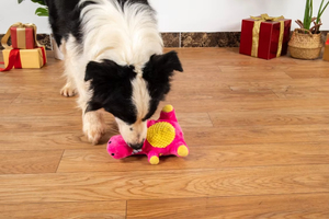 Juguete de Peluche Interactivo y Duradero para Perros, Color Rosa, Divertido, para Limpiar los Dientes, con Sonido, en Forma de Dinosaurio, para Entrenamiento de Mascotas - Product Image 6