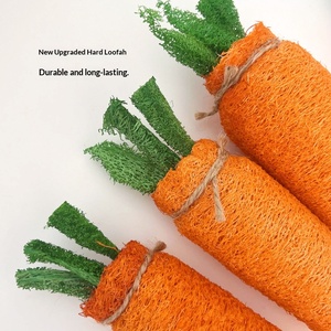Jouets naturels en loofah pour lapins et cochons d'Inde : jouet carotte, accessoires de mastication pour le nettoyage des dents molaires - Product Image 2