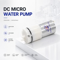 Micro pompe à eau DC 5V 12V 24V personnalisée OEM ODM pour fontaine à eau pour animaux de compagnie, humidificateur portable, pulvérisateur
