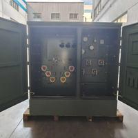   Transformador Trifásico de 13.8kV Montado en Plataforma IEEE, 300kVA, 500kVA, 750kVA, de Cobre Líquido, para Exteriores, Almacenamiento de Energía Solar y Eólica Renovable