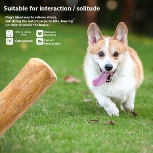 Köpekler için 100% kahve ahşap çevre dostu diş çiğnemek dayanıklı interaktif diş temizleme egzersiz oyuncak - Product Image 3