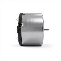 Moteur CC à balais 12V 24V 520 Mini à couple élevé, moteur à engrenages à aimant permanent pour robot de maison intelligente personnalisé