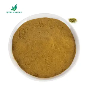 Extrato de madressilva natural Lonicera Japonica Flor em pó 5%-98% ácido clorogênico com melhor preço e qualidade