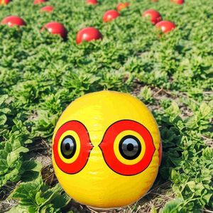 Ballon oiseau répulsif terreur oeil intérieur/extérieur jardin oiseau peur plastique contrôle pièges acier oiseaux pointes ferme emballé sac - Product Image 2