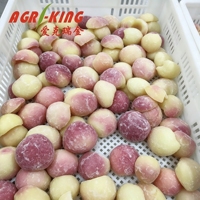 IQF Diepvries Witte Perzikhelften, Gepeld en Ontpit, HACCP Gecertificeerd, Groothandel Diepvries Fruit, Sappige Perzik voor Dranken, Bakkerij & Jam