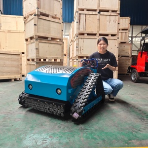 Cortadora de Césped Robótica con Control Remoto, Certificación CE, Giro Cero, Automática, Y16-650, Envío Gratis - Product Image 1