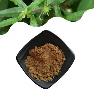 Fabrikant Hot Koop Valse Daisy Eclipta Prostrata Eclipta Alba Extract