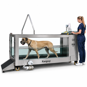 Veterinary Clinic Canine Hydrotherapy Training Underwater Treadmill for Large Dogs Cat Electric Aquatic Water Treadmill for Sale - Product Image 1