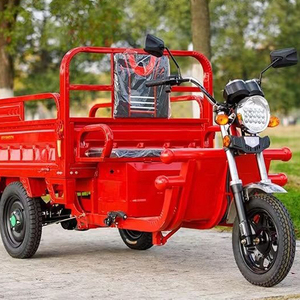 Tricycle électrique de transport 2000 1200 750MM pour petites entreprises - Product Image 3