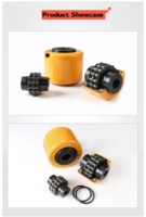 Chaîne de couplage en acier traité par oxydation, personnalisable OEM, structure universelle pour machines CNC, servomoteurs, marque SFS, origine Chine