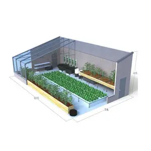 קטן aquaponic חוות חממה aquaponics מערכת לחצר אחורית דגים וירקות