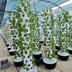 Thủy canh trồng tháp dọc tháp phát triển tường hệ thống cột thủy canh tháp Kit - Product Image 1