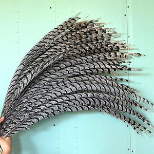 Bán Buôn Dài Tự Nhiên Ngựa Vằn Lady <span class=keywords><strong>Amherst</strong></span> Gà lôi Đuôi Lông Cho Lễ Hội Lễ Hội Samba Trang Phục Trang Trí - Product Image 6