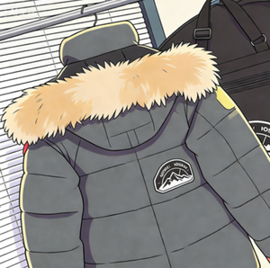 Giacca Invernale Unisex Imbottita in Poliestere Impermeabile Ecologica Antivento Spessa con Cappuccio Casual con Cerniera ODM - Product Image 3