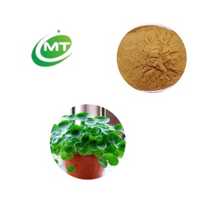Suministro de fábrica, extracto de hierba de moneda de oro de alta calidad, polvo de <span class=keywords><strong>Lysimachia</strong></span>, extracto de hierbas, suplemento en polvo - Product Image 2