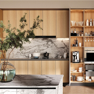 Nhà hàng Shaker phong cách tủ bếp thẳng WPC <span class=keywords><strong>osb</strong></span> tủ bếp cho RV Caravan - Product Image 5