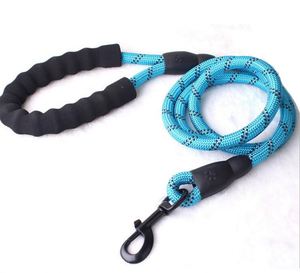 Échantillon gratuit : laisse pour chien robuste de 5 pieds avec poignée rembourrée confortable et fils hautement réfléchissants pour chiens de petite, moyenne et grande taille - Product Image 3